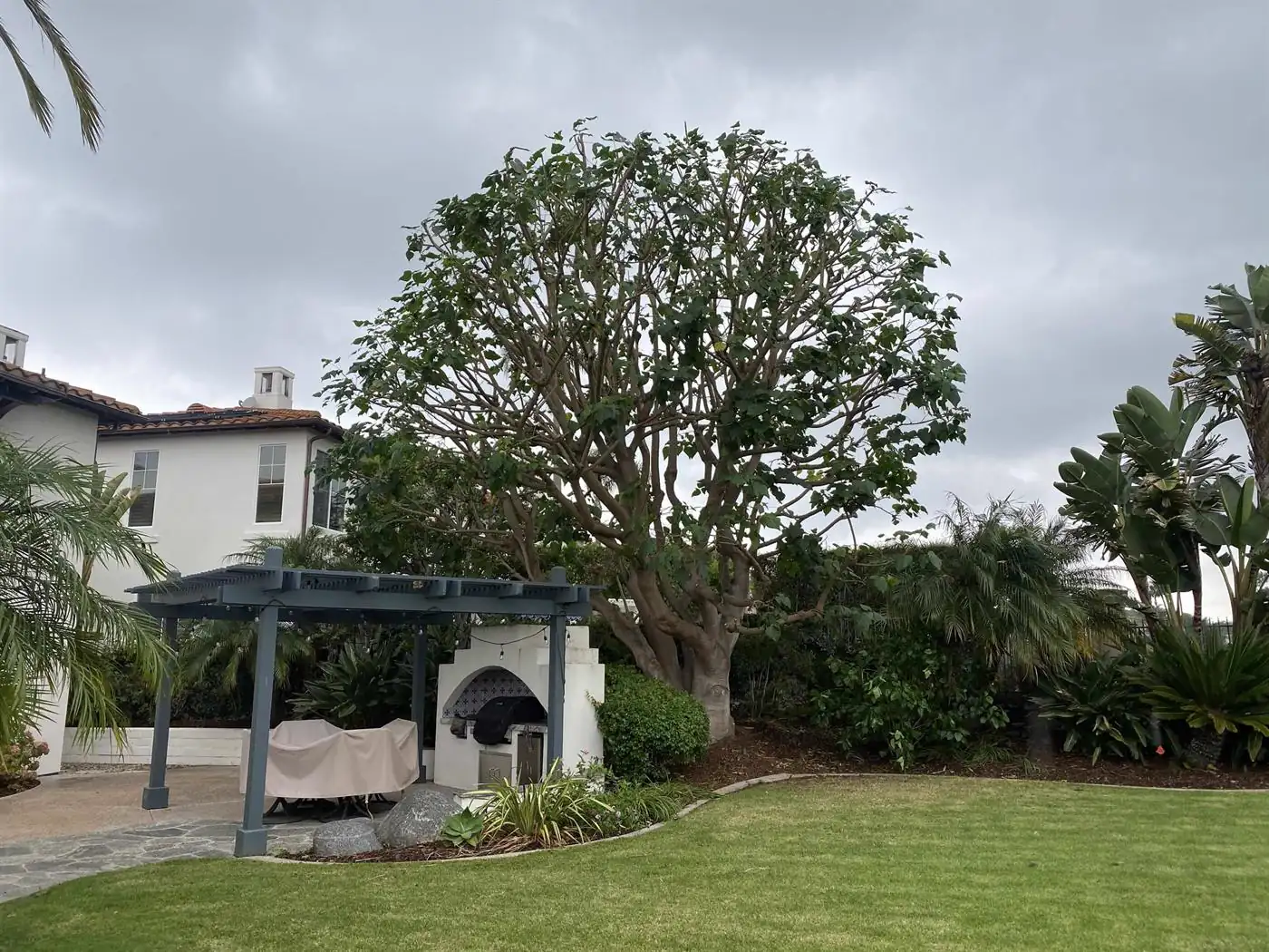 Finished tree job, yard left clean