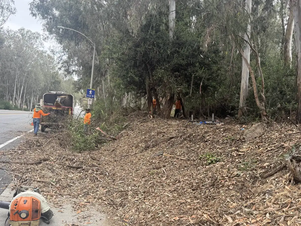 Brush and fire-clearance work on a hillside property